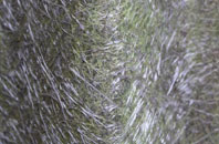 Kirtomy fibreglass roof work